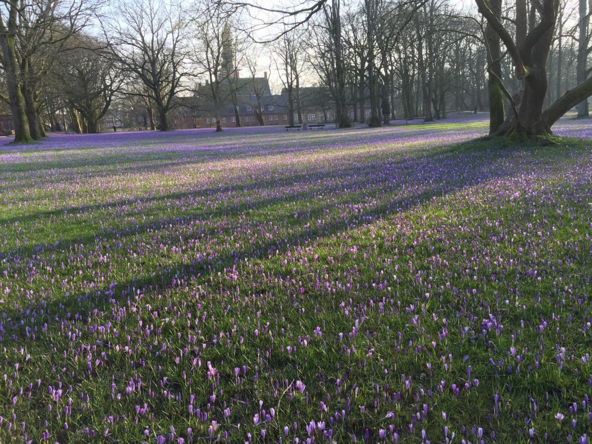Fischerstuuv Husum (Schleswig-Holstein) Exterior foto